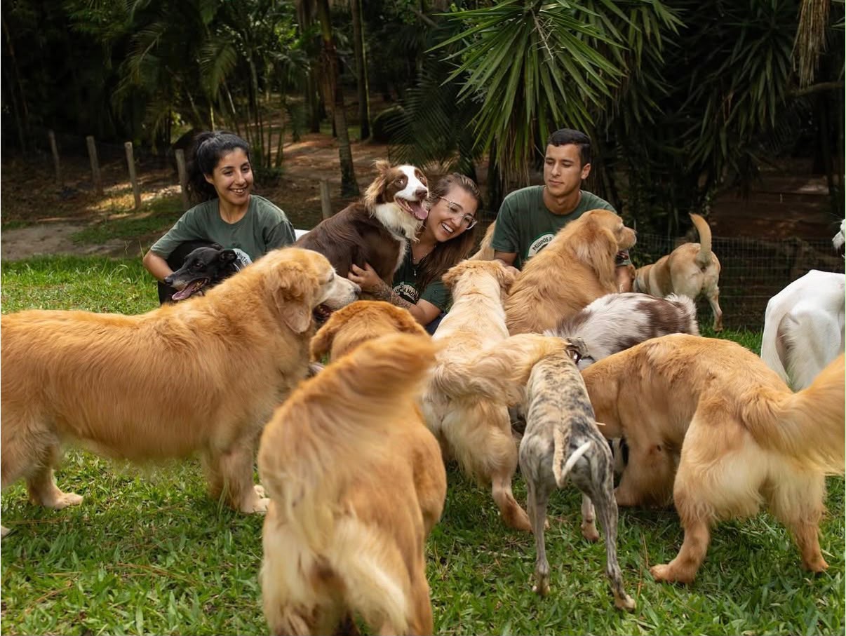 Equipe acolhendo um grupo de cães na área verde da chácara