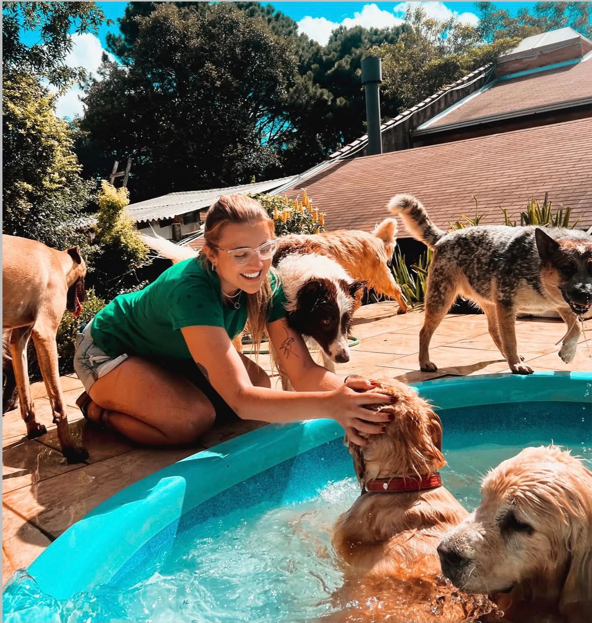 Cães se refrescando na piscina com cuidadora da Peludos da Montanha