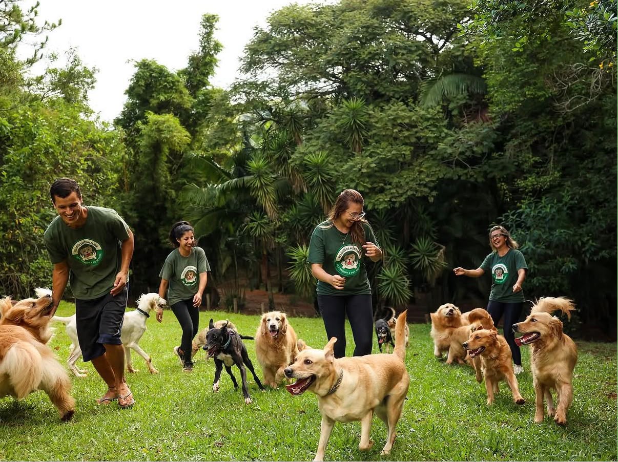Equipe da Peludos da Montanha correndo no gramado com a turma de cães